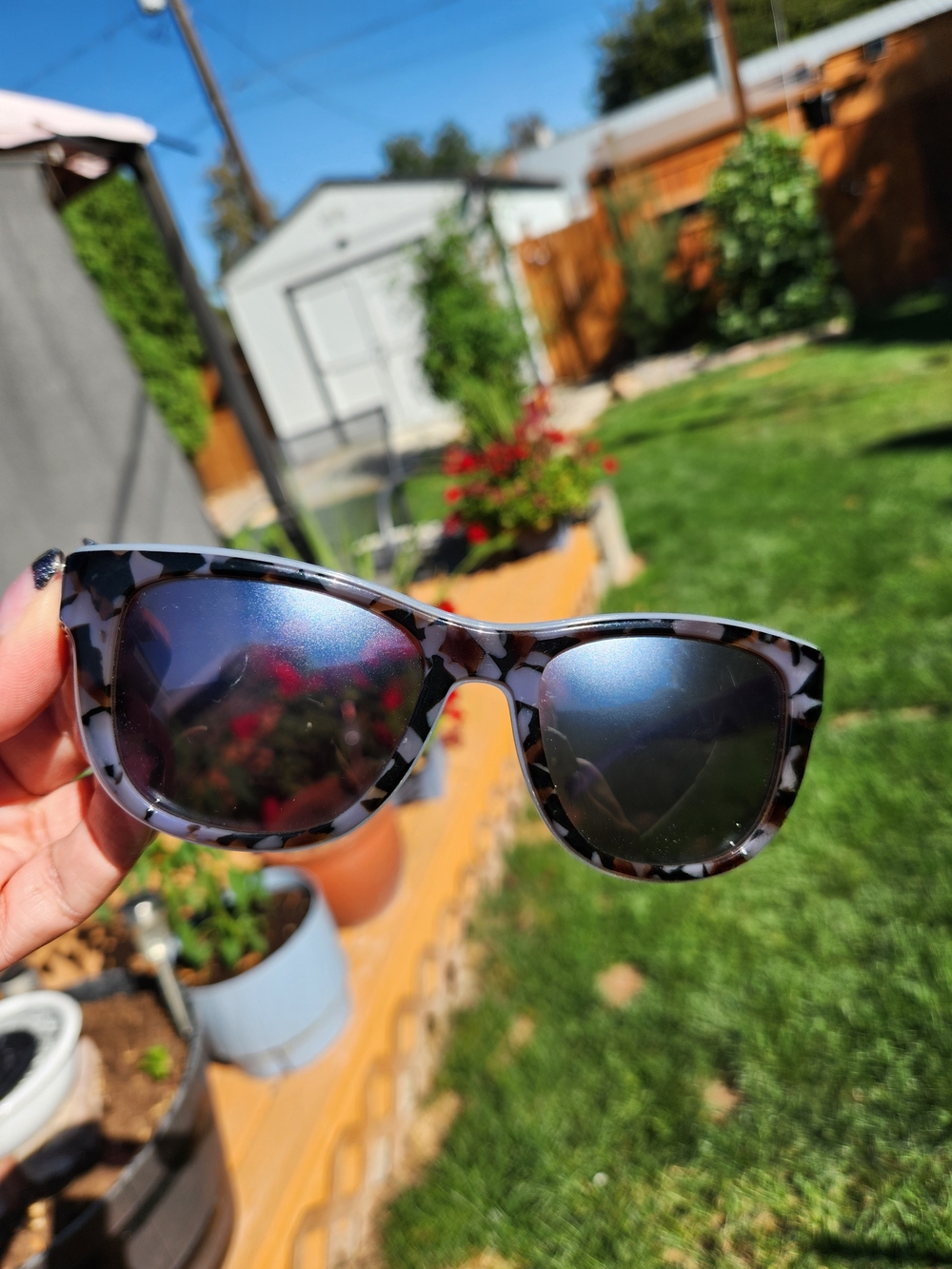 Dolce & Gabbana Tortoiseshell Sunglasses - Picture 10 of 12